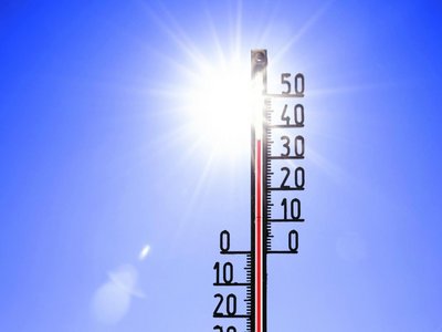 Canicule
