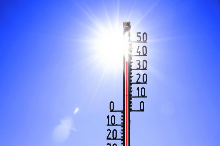 Canicule