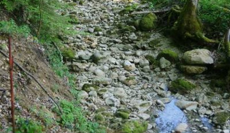 une rivière au très faible débit