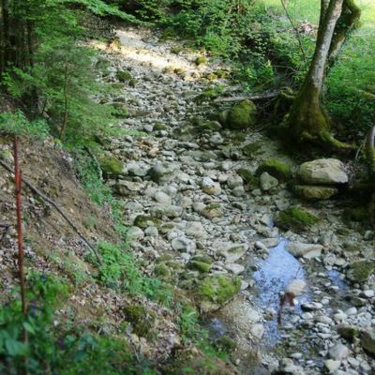 une rivière au très faible débit