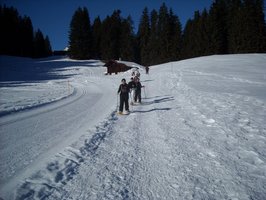 Cliquez pour agrandir sport COFOP