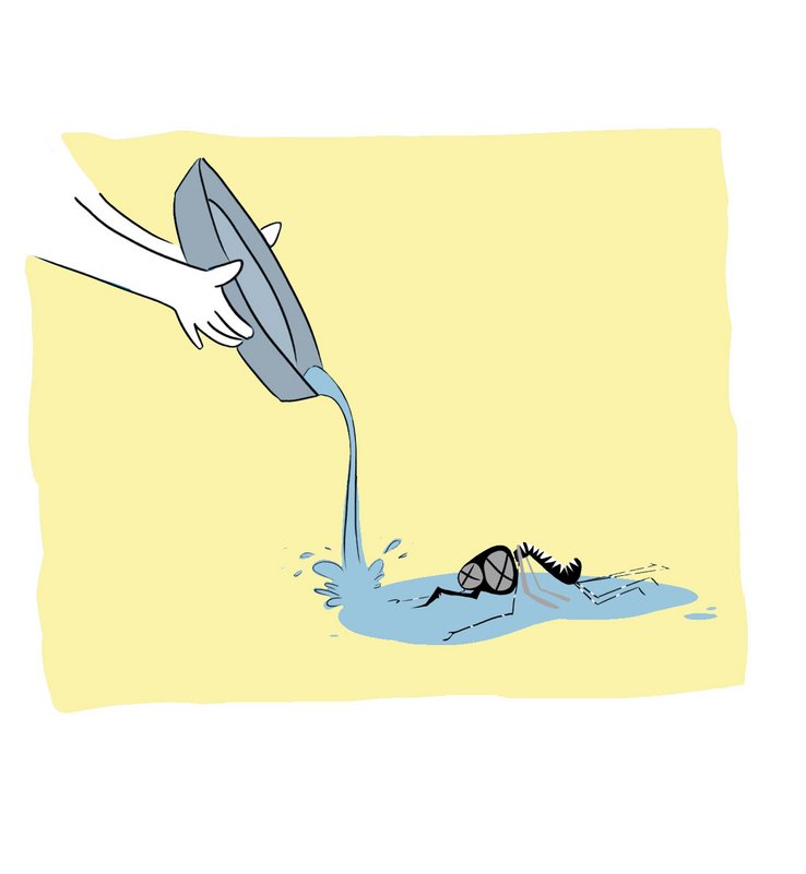 Image : vider l'eau des coupelles pour empêcher le moustique tigre de nidifier 