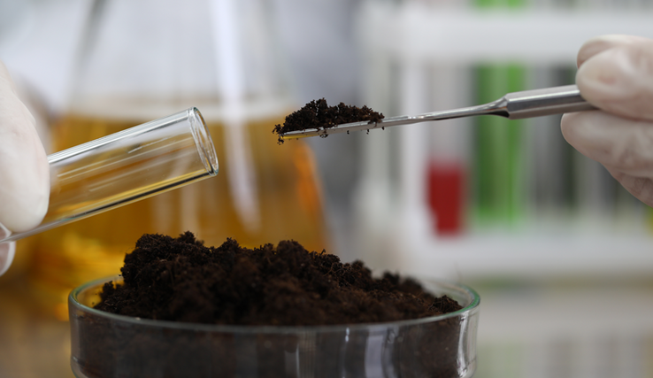 Eprouvette en train d'être chargée d'un échantillon de terre dans un laboratoire.