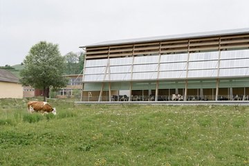 Projet Lino Lebet - nouveau souffle