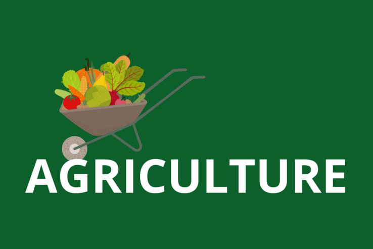 Visuel Agriculture