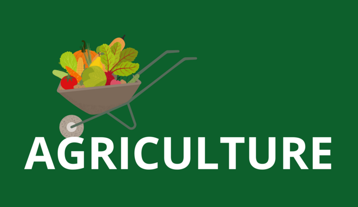 Visuel Agriculture