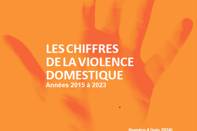 Couverture du rapport "Les chiffres de la violence domestique"