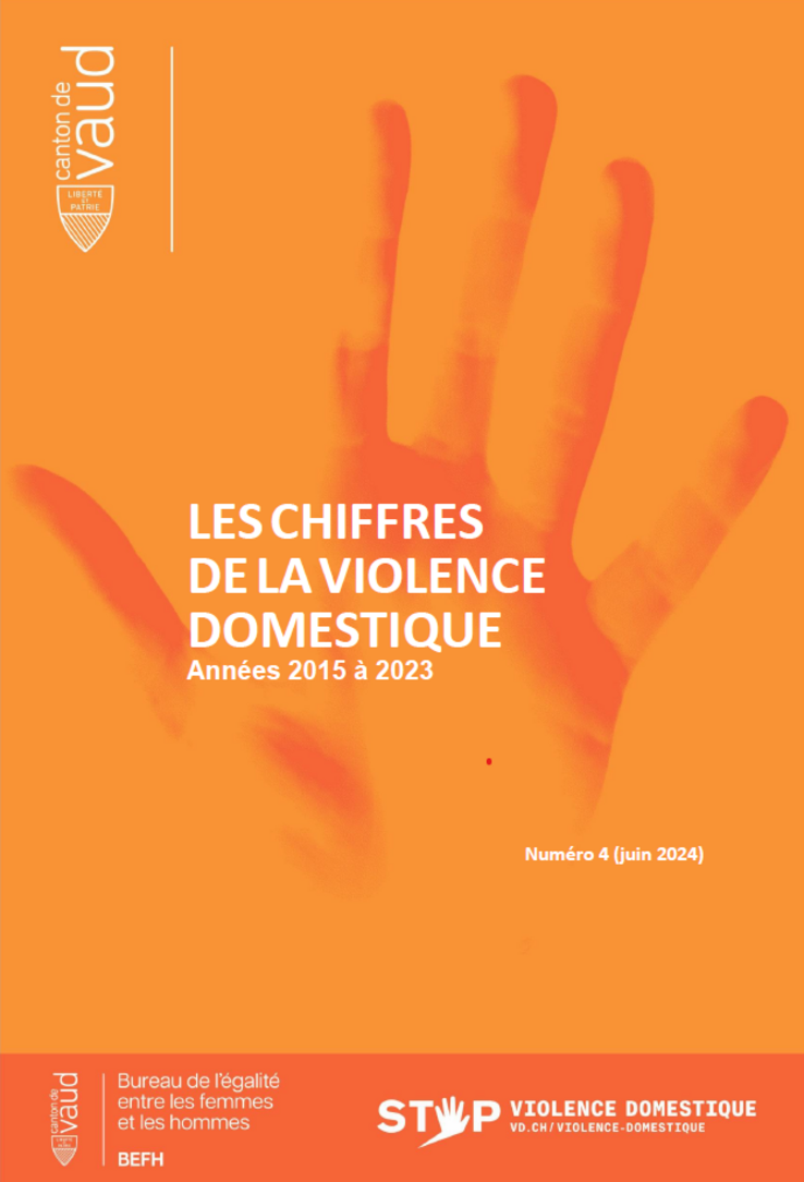 Couverture du rapport "Les chiffres de la violence domestique"