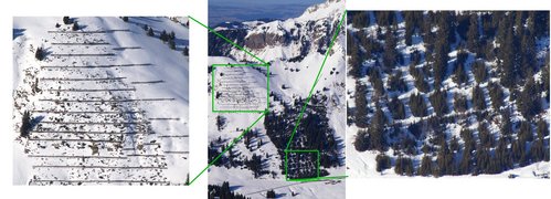 Au centre, secteur du Grand Courtil sur le territoire de Villeneuve sujet aux avalanches. Au gauche plantation de pins de montagne, d'arolles, de mélèzes et d'épicéas qui remplaceront à terme les actuels pare-avalanches. A droite, entretien d'une jeu