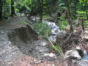 Erosion des berges consecutives à une crue sur le Torrent d'Yvorne Erosion des berges consecutives à une crue sur le Torrent d'Yvorne