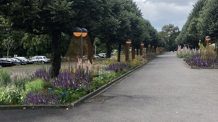 BAP - oeuvre artistique