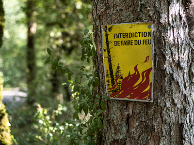 Un panneau "Interdiction de faire du feu" apposé sur le tronc d'un arbre, en forêt.