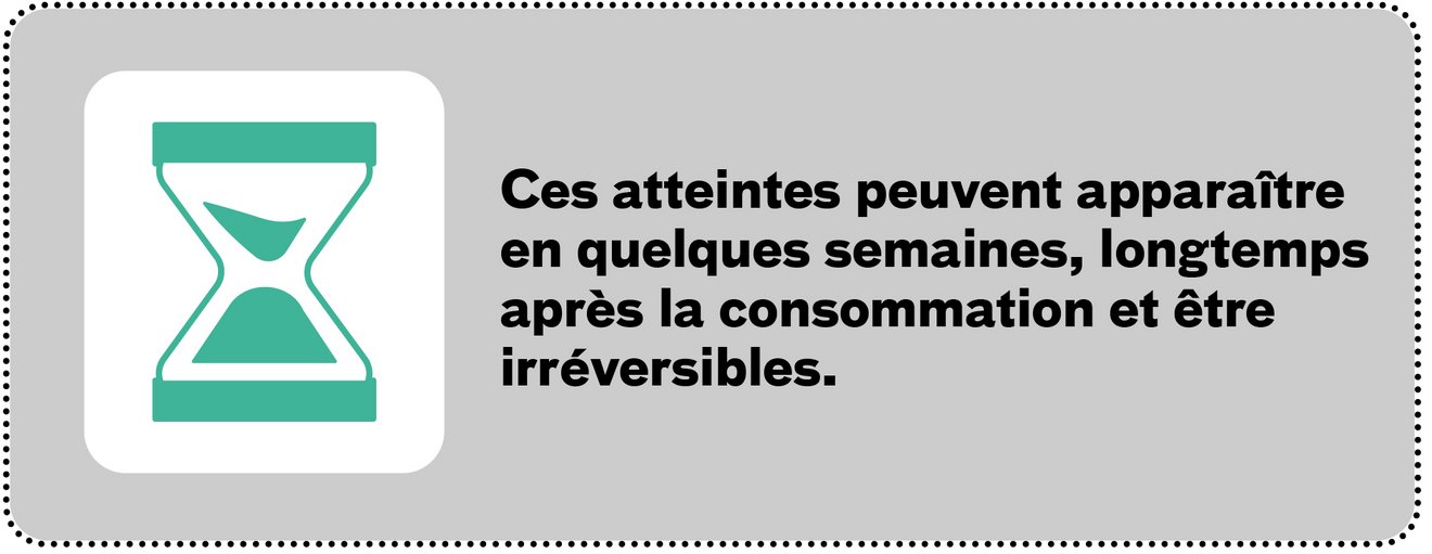 temporalité