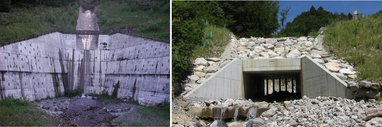 Dépotoir du Pissot (à gauche) et ouvrage de protection sur la Tinière (à droite) Dépotoir du Pissot (à gauche) et ouvrage de protection sur la Tinière (à droite)