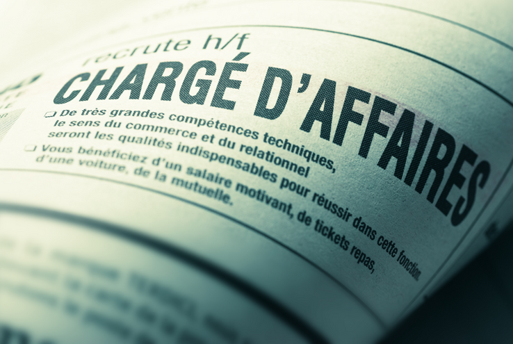 Journal, cahier des annonces emploi (illustration).