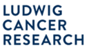 logo Ludwig cancer research