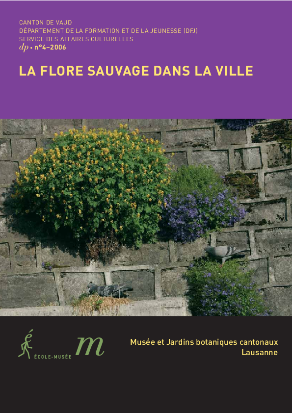dp 4 Flore sauvage dans la ville