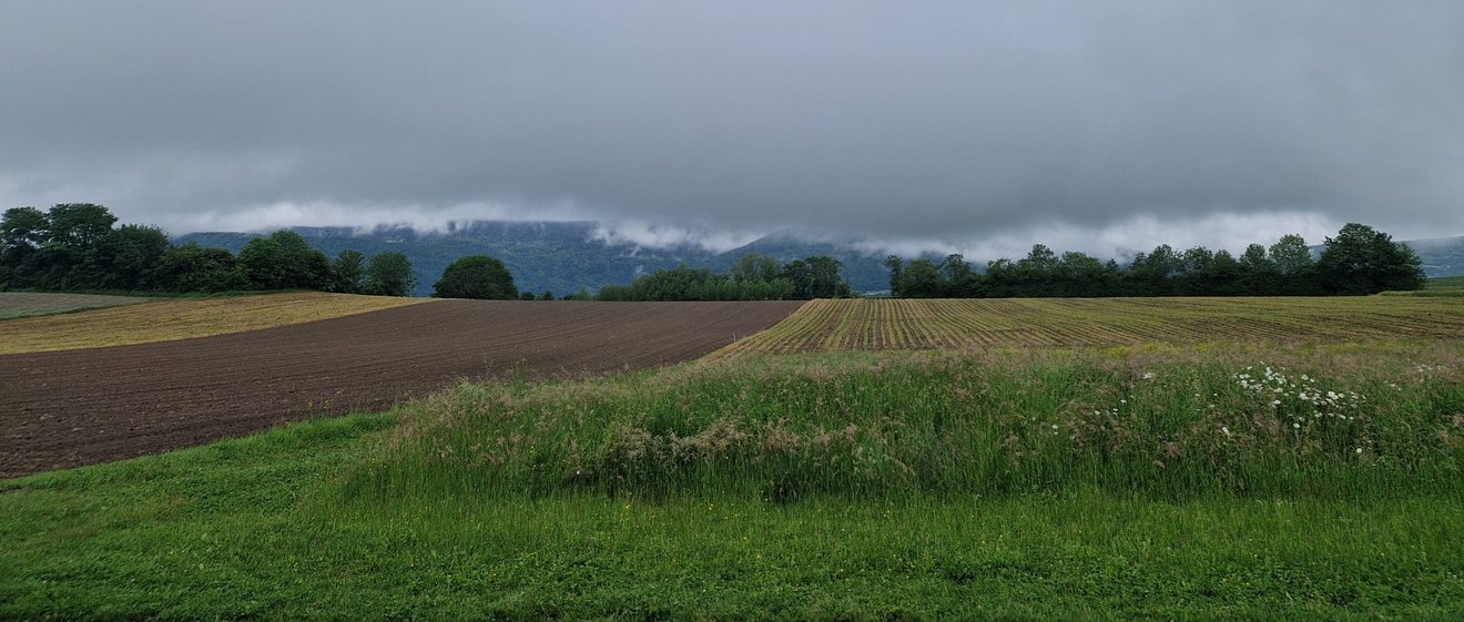Image montrant un sol agricole durant une journée grise avec des montagnes en fond