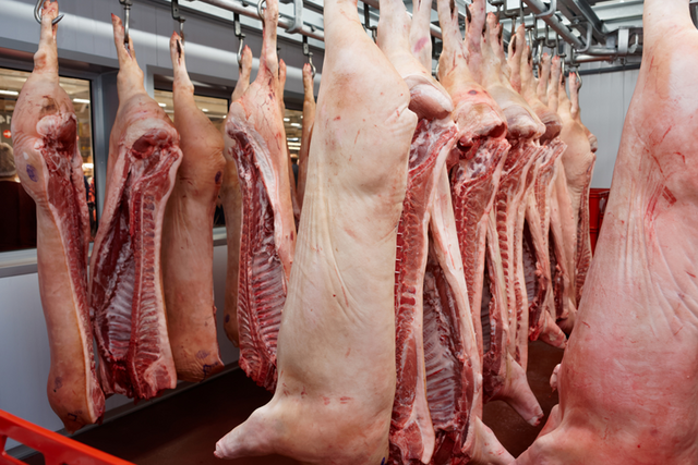 Photos d'un abattoir avec des pièces de cochons suspendues