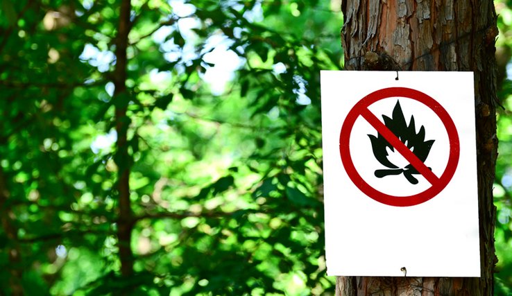 Panneau d'interdiction de faire des feux en forêt cloué sur un arbre (copyright fotolia)