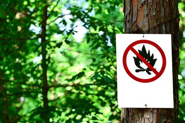 Panneau d'interdiction de faire des feux en forêt cloué sur un arbre (copyright fotolia)