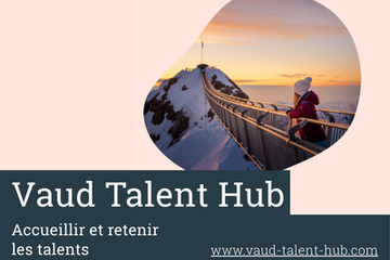 Miniature du site internet de Vaud Talent Hub