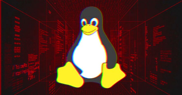 Vulnérabilité Linux