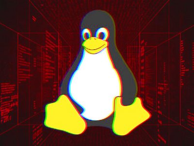 Vulnérabilité Linux