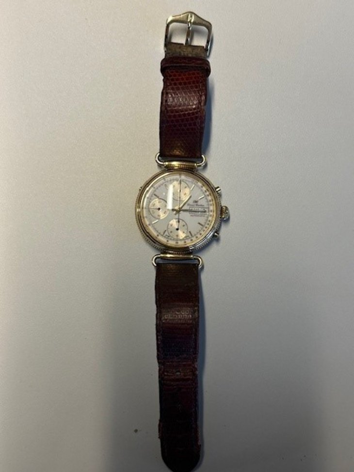 Montre de marque Daniel Garbino