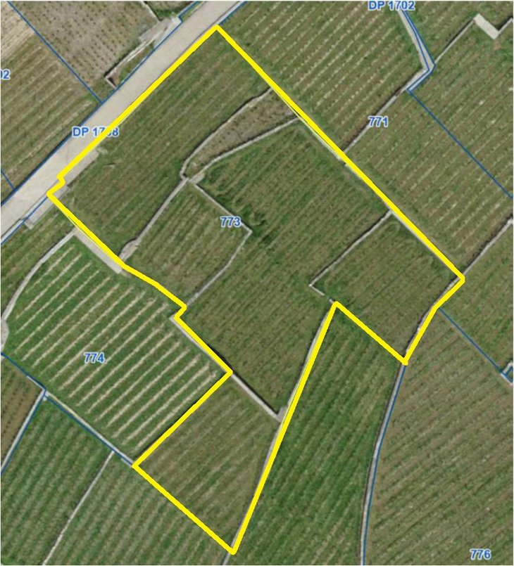 773 Vignes délimitée