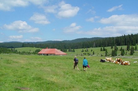 Couple de randonneurs dans le Jura vaudois
