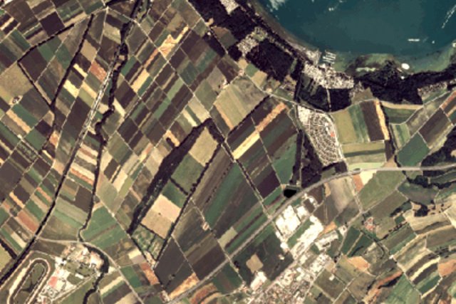 orthophoto (rive sud du lac de Morat vers Salavaux)