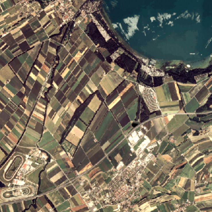 orthophoto (rive sud du lac de Morat vers Salavaux)
