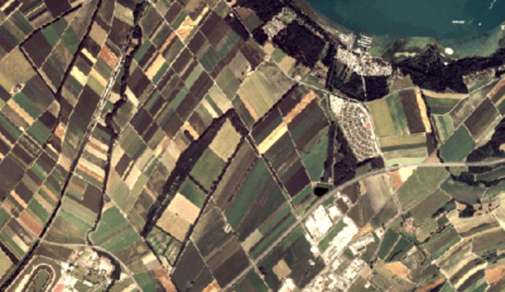 orthophoto (rive sud du lac de Morat vers Salavaux)