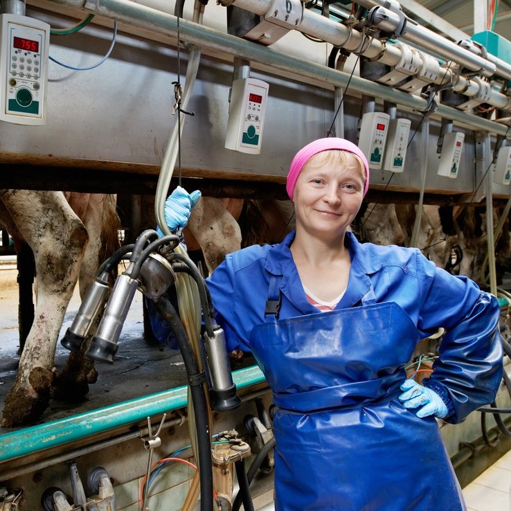 Illustration : Femmes dans l'agriculture