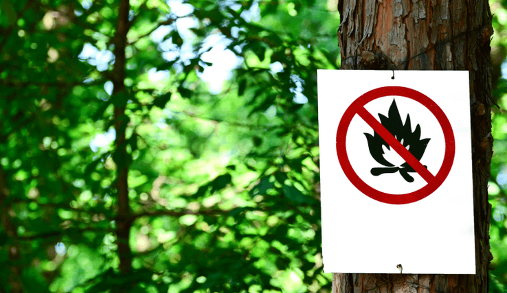 Panneau interdiction de feu en forêt sur un arbre, en forêt