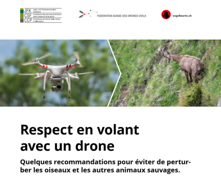 Image drône