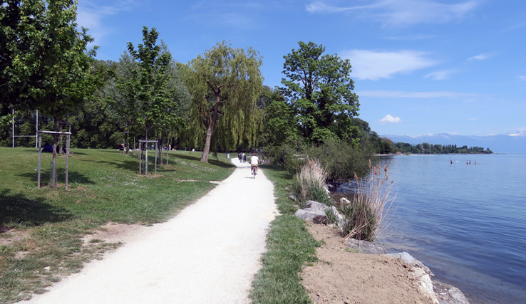le chemin pédestre de la rive, avec le lac et ses enrochements actuels à droite, un jour de très beau temps. Un vélo s'éloigne. 
