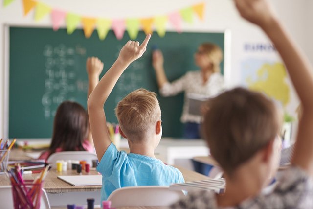 élèves en classe vus de dos levant la main