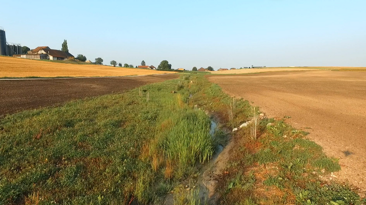 Exemple d'aires naturelles interconnectées