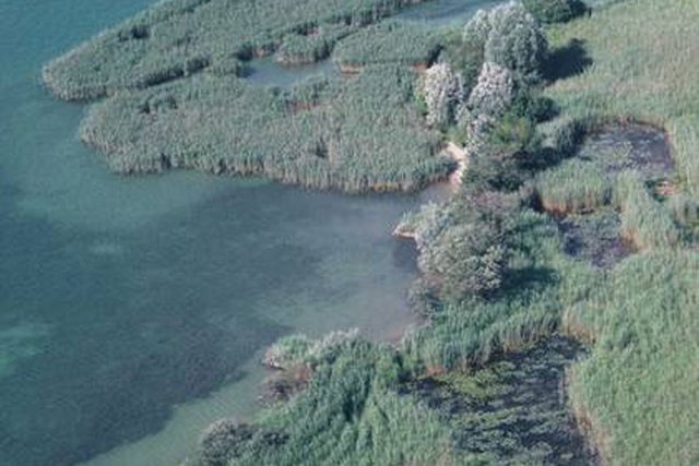 Vue d'avion de la rive sud du lac de Neuchâtel. Photo J.-M. Zellweger