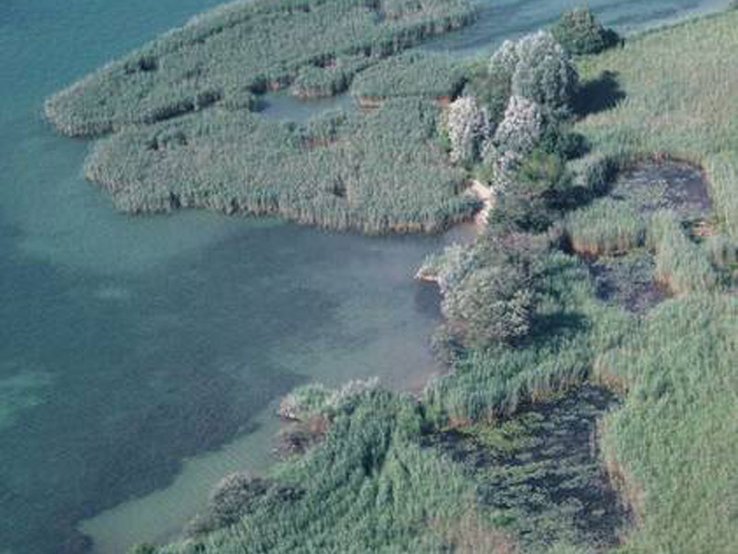 Vue d'avion de la rive sud du lac de Neuchâtel. Photo J.-M. Zellweger