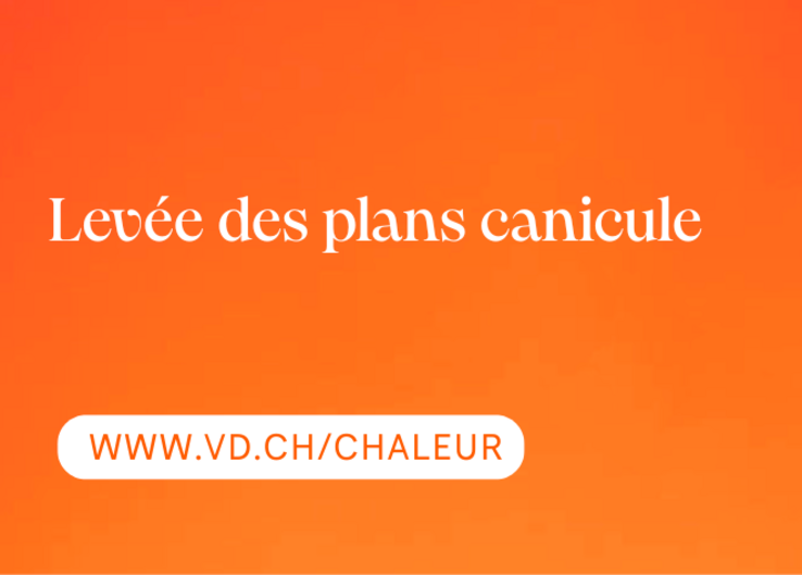 illustration: texte