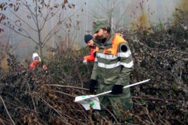 Personnes de la Protection civile dans une forêt.
