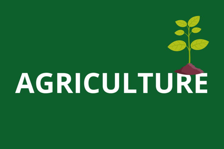 Visuel Agriculture