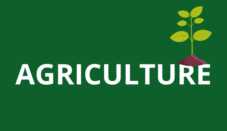Visuel Agriculture