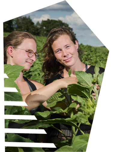Image de deux horticultrices