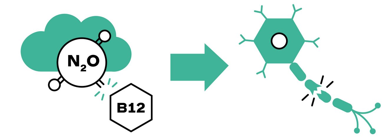 vitamines B12