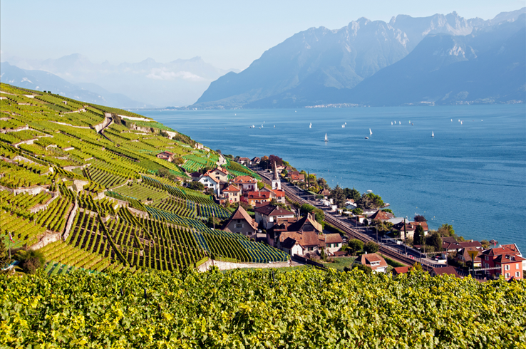 vue du vignoble de Lavaux et du village de Villette