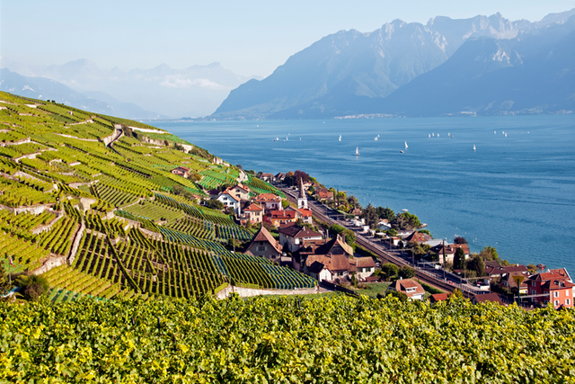 vue du vignoble de Lavaux et du village de Villette